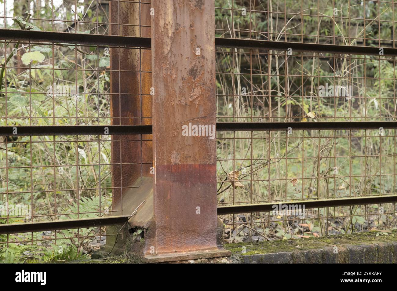 Nahaufnahme eines rostigen Metallbalkens, der einen Maschendrahtzaun stützt, mit bewachsener Vegetation im Hintergrund, die eine Szene des Verfalls und der Verlassenheit schafft Stockfoto