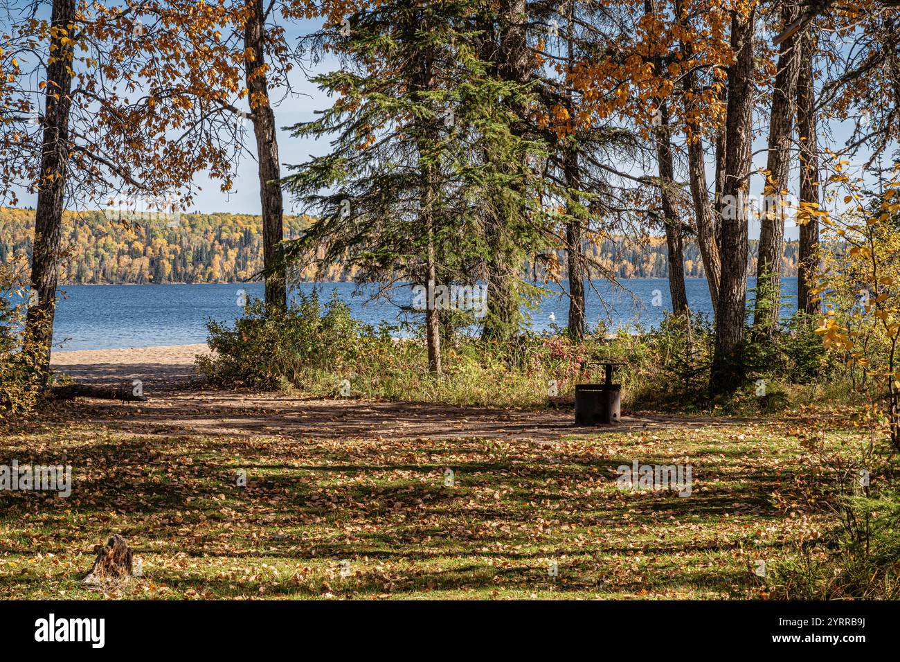 Eine ruhige Szene eines Waldes mit einem See im Hintergrund. Die Bäume sind voller Blätter und der See ist ruhig Stockfoto