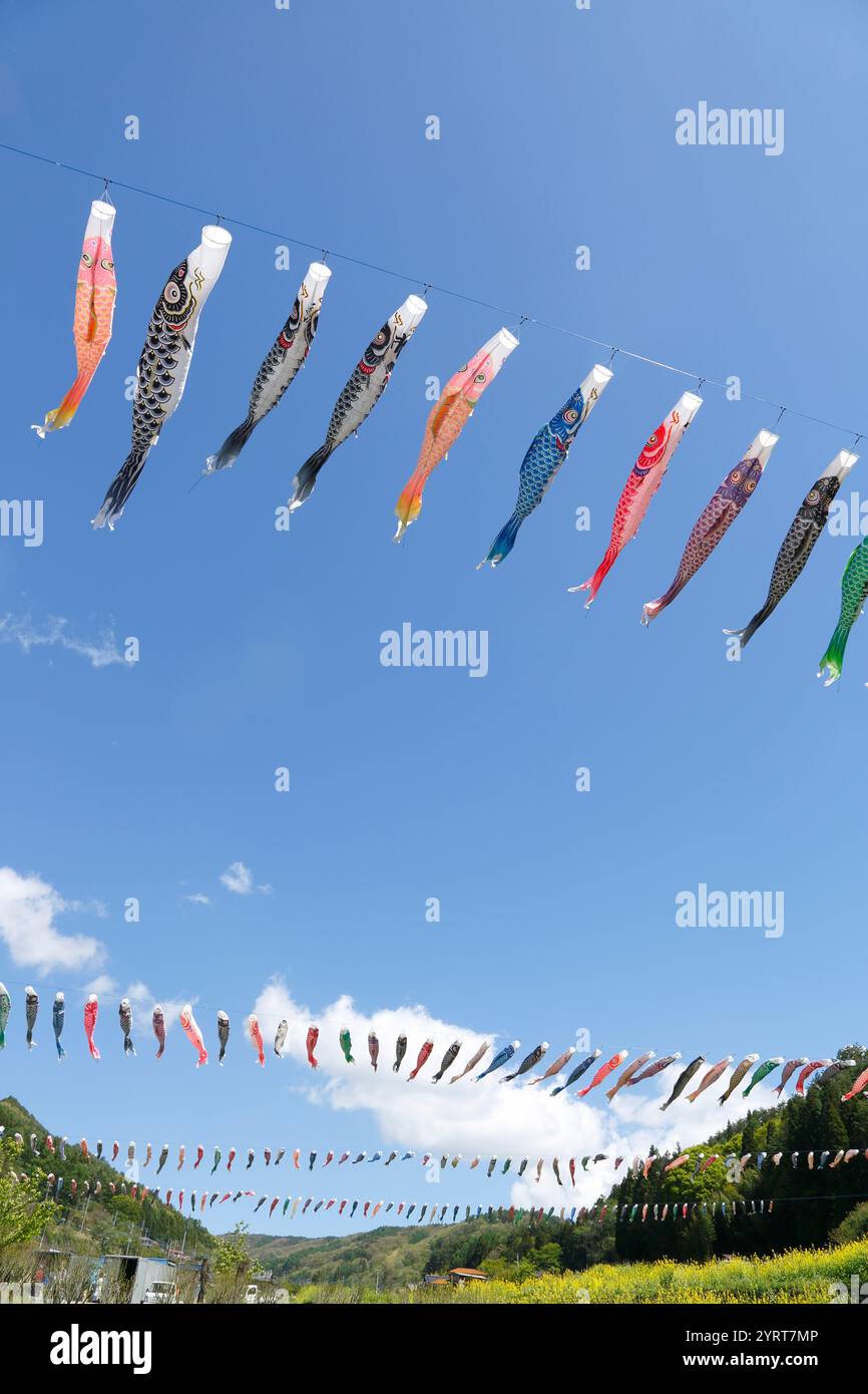 Karpfenfänger schwimmen im blauen Himmel Stockfoto