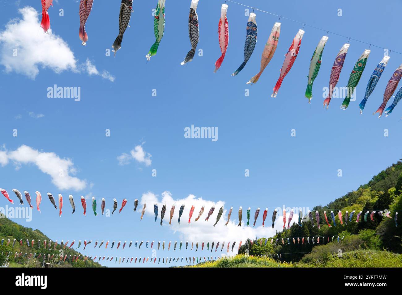 Karpfenfänger schwimmen im blauen Himmel Stockfoto