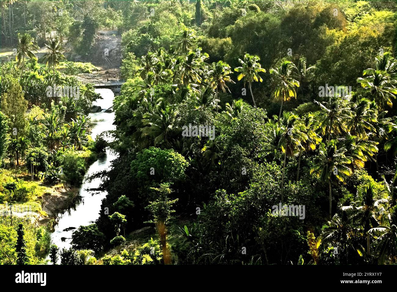 Landschaft eines grünen Tals, das von einem Fluss durchzogen wird, in Praiyawang, Rindi, East Sumba, East Nusa Tenggara, Indonesien. Stockfoto