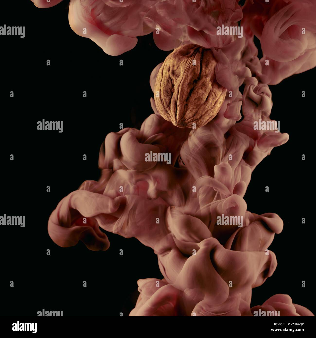 Fliegender Nussbaum auf schwarzem Hintergrund mit rosa Tintenwolke im Rahmen. Stockfoto