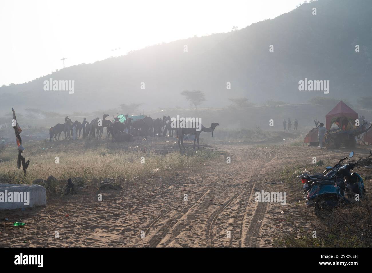 Pushkar Fair, Rajasthan, Indien Stockfoto