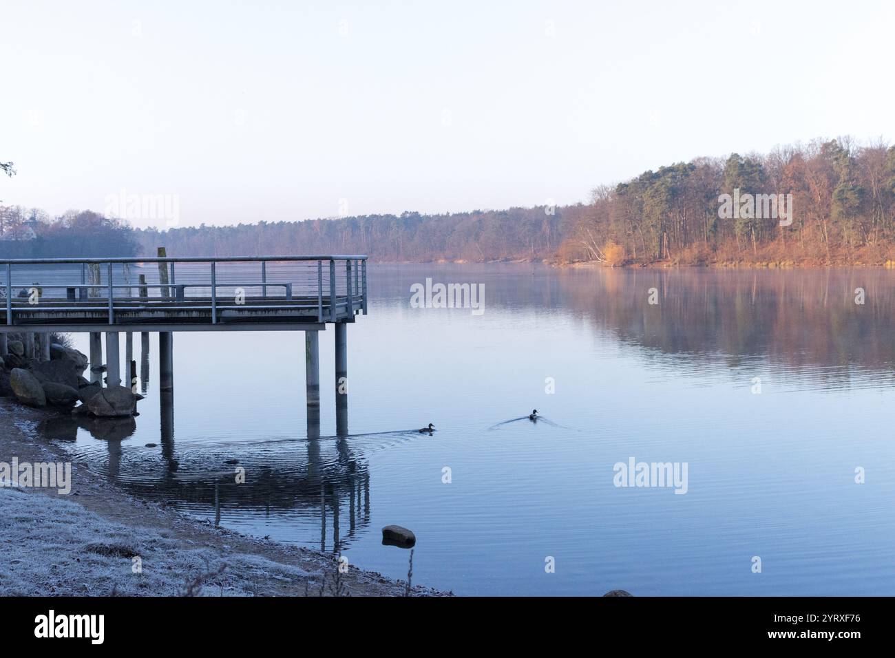 Ein ruhiger Wintermorgen an einem Pier am See, mit ruhigem Wasser, das die bewaldete Küste unter hellem Himmel reflektiert. Stockfoto