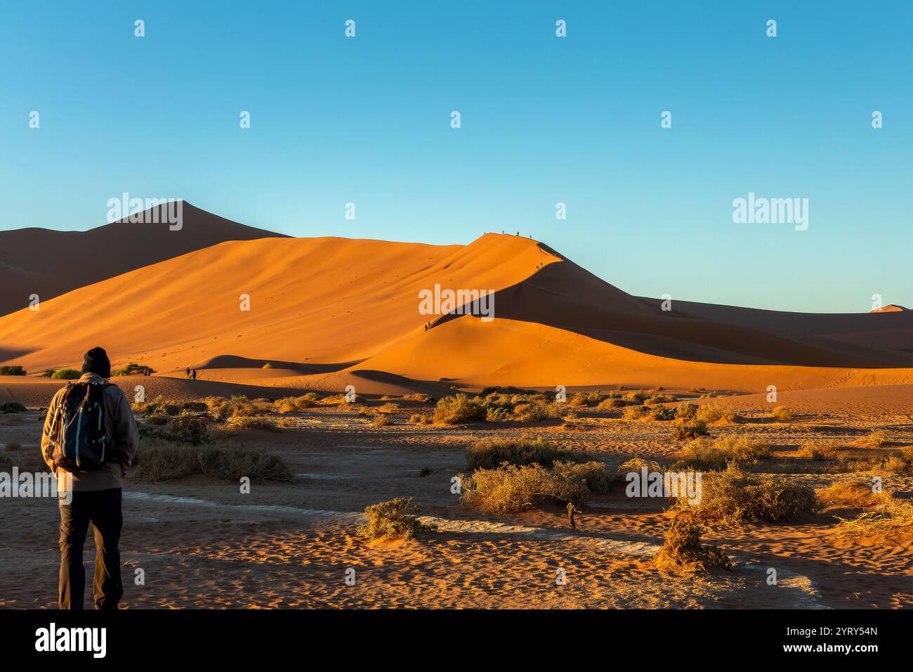 Touristen klettern auf Big Daddy Sanddünen bei Sonnenaufgang in Sossusvlei, Namib Naukluft Nationalpark, Namibia szenische Landschaft, Afrika Stockfoto