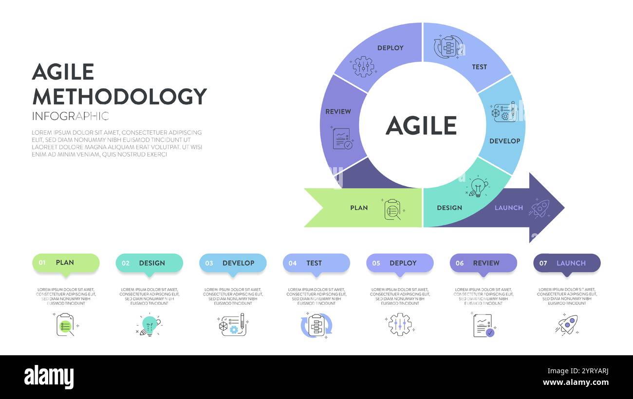 Die Infografik „Agile Lifecycle Methodology“ ist ein Prozess zur Erstellung und Reaktion auf Veränderungen. Lebenszyklus der Produktentwicklung und Agile Methodology. Proz Stock Vektor