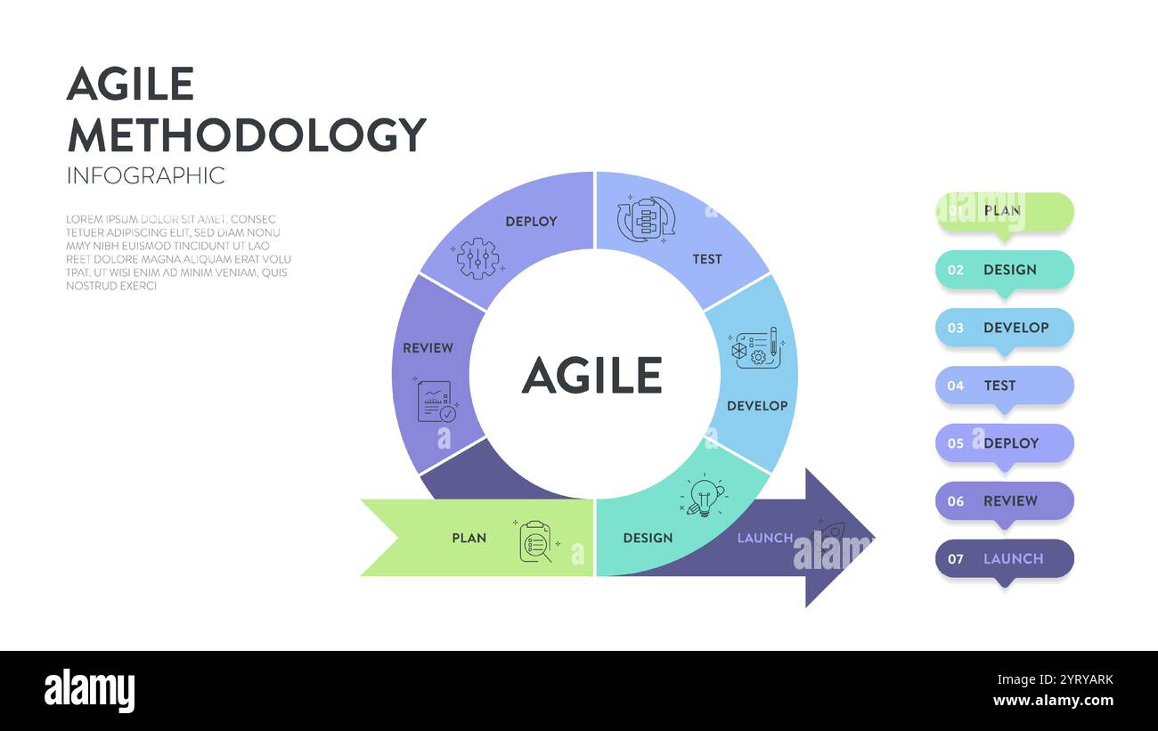 Die Infografik „Agile Lifecycle Methodology“ ist ein Prozess zur Erstellung und Reaktion auf Veränderungen. Lebenszyklus der Produktentwicklung und Agile Methodology. Proz Stock Vektor