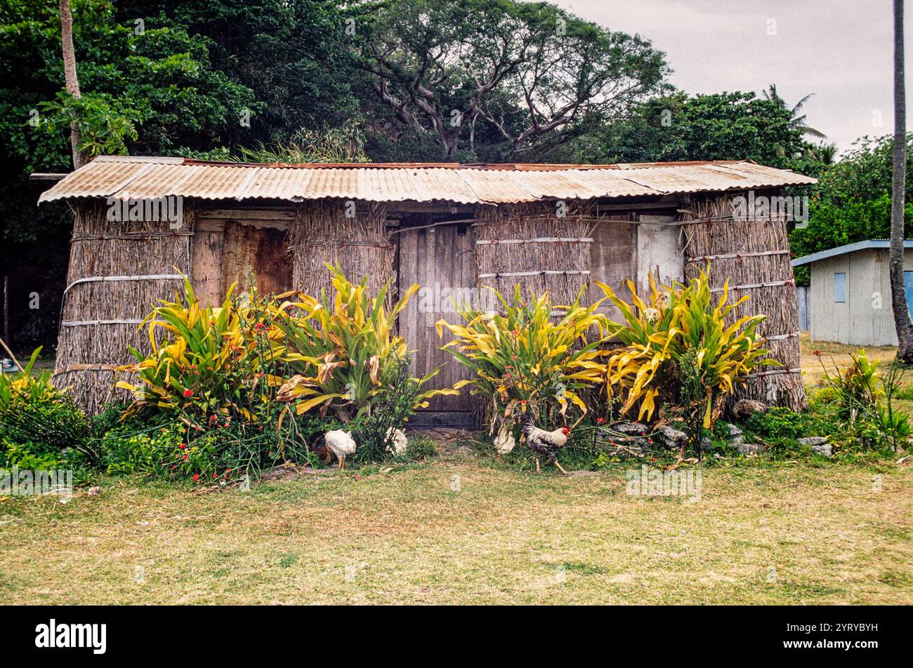 Blick auf Yasawa-i-Rara, ein abgelegenes Dorf auf den Yasawa-Inseln in Fidschi. Archivfoto aus dem Jahr 1991, das die traditionellen strohgedeckten Häuser im Dorf zeigt. Stockfoto