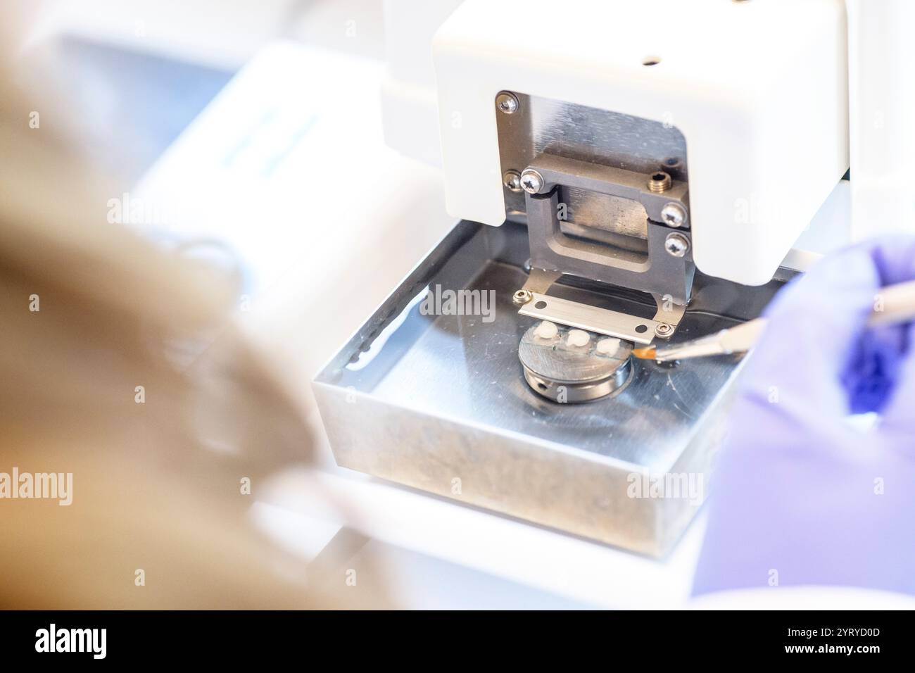 Wissenschaftler schneiden Gehirngewebe von Mäusen für Untersuchungen und Forschung und heben Neurowissenschaften, Histologie und Laborpräzision hervor. Stockfoto