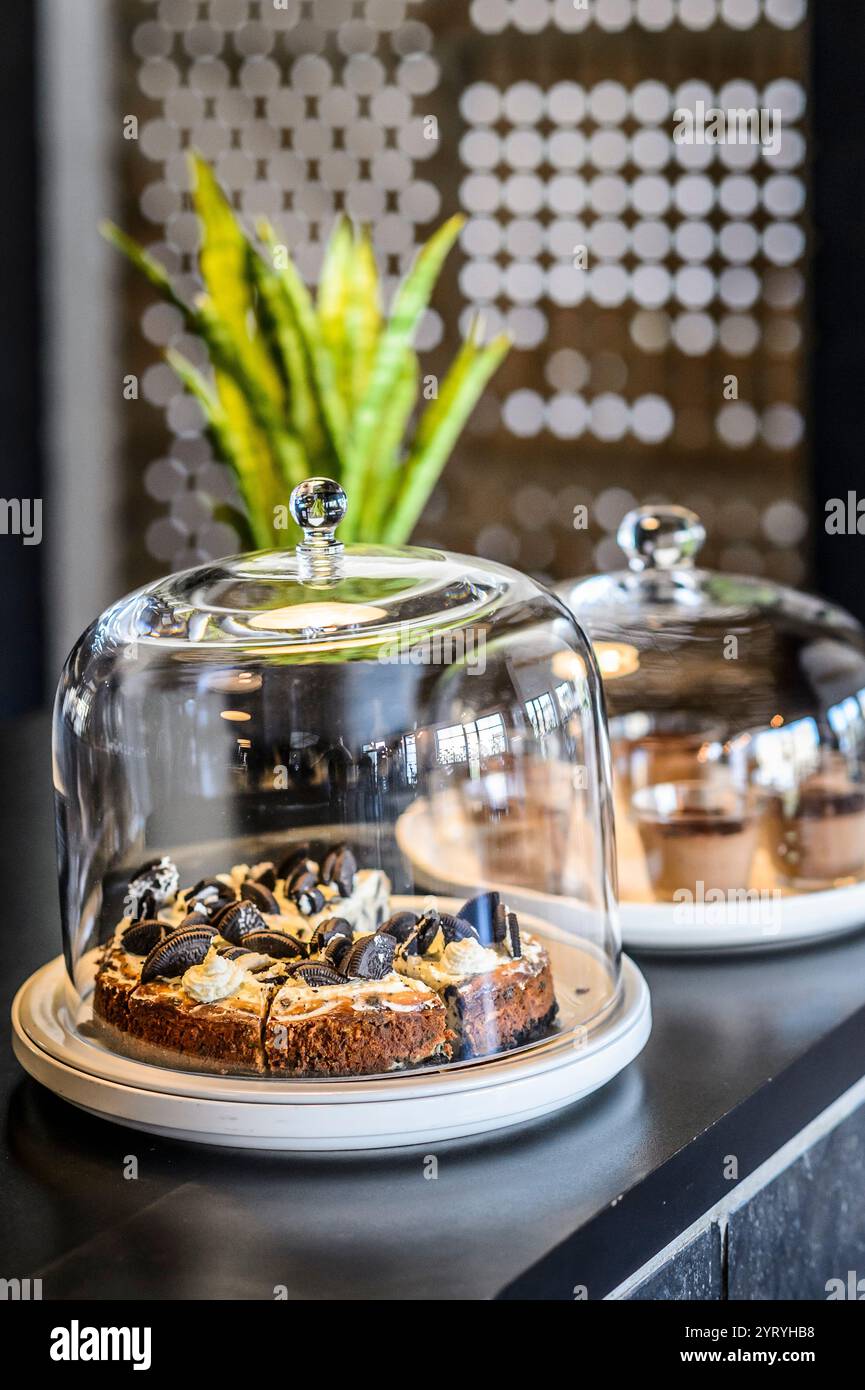 Desserts werden unter eleganten Glaskuppeln in einem stilvollen Café-Interieur präsentiert, in denen köstliche Kuchen und Süßigkeiten in einer einladenden, modernen Atmosphäre hervorgehoben werden Stockfoto