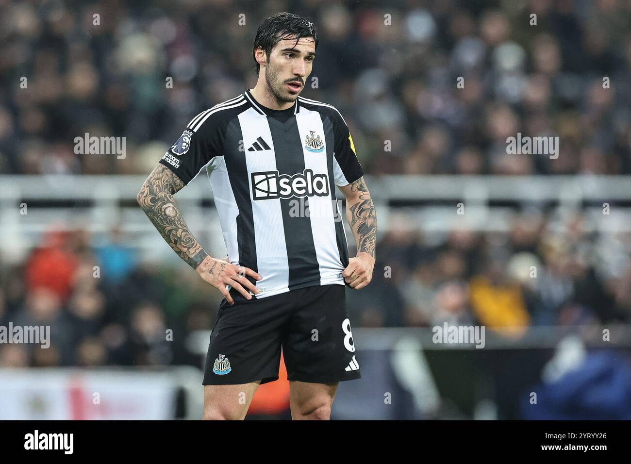 Sandro TONALi von Newcastle United während des Premier League Spiels Newcastle United gegen Liverpool im St. James' Park, Newcastle, Vereinigtes Königreich, 4. Dezember 2024 (Foto: Mark Cosgrove/News Images) Stockfoto