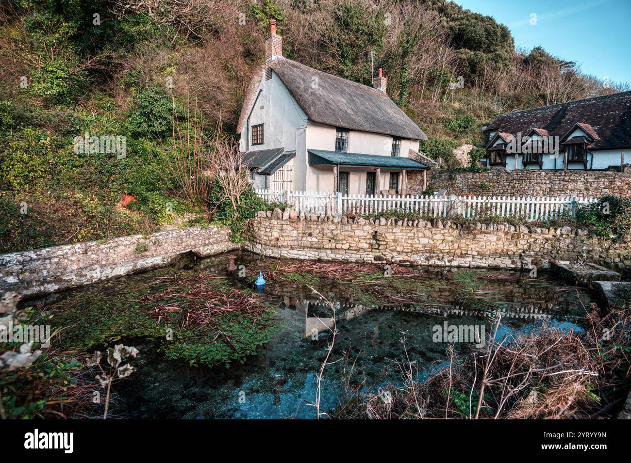 Eine natürliche Wasserquelle. Spring Cottage, Lulworth Cove, Dorset, Großbritannien, Quelle eines der kürzesten Bäche Großbritanniens, der in die nahe gelegene Bucht mündet. Stockfoto