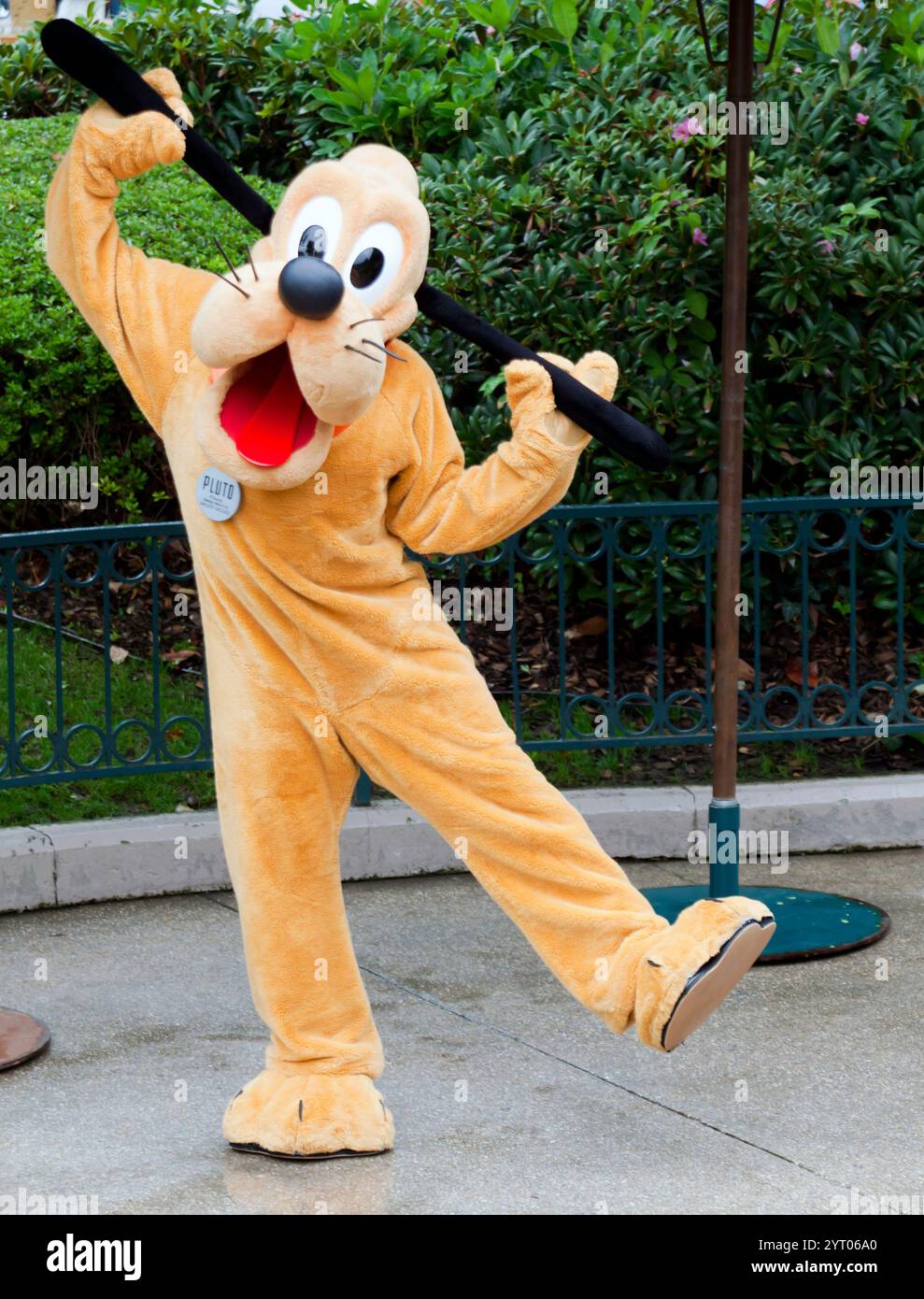 Die Disney-Figur Pluto posiert während einer Meet and Greet Session im Disneyland Paris. Stockfoto