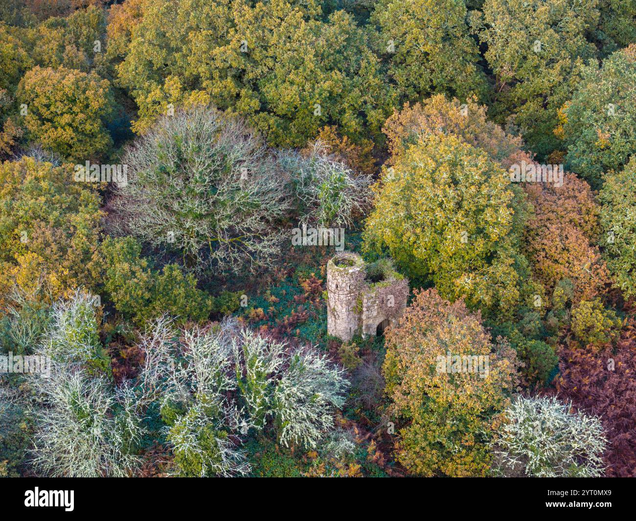 Aus der Vogelperspektive des Rushford Tower, einer Torheit in der Nähe von Chagford im Dartmoor National Park, Devon, England. Herbst (November) 2023. Stockfoto