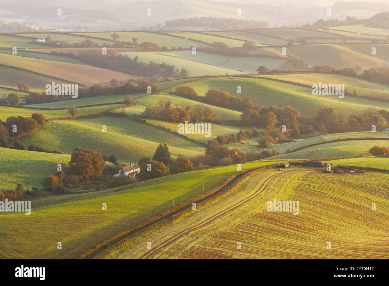 Sanfte Weidelandschaft bei Sonnenaufgang in der Nähe von Crediton in Devon, England. Herbst (November) 2024. Stockfoto