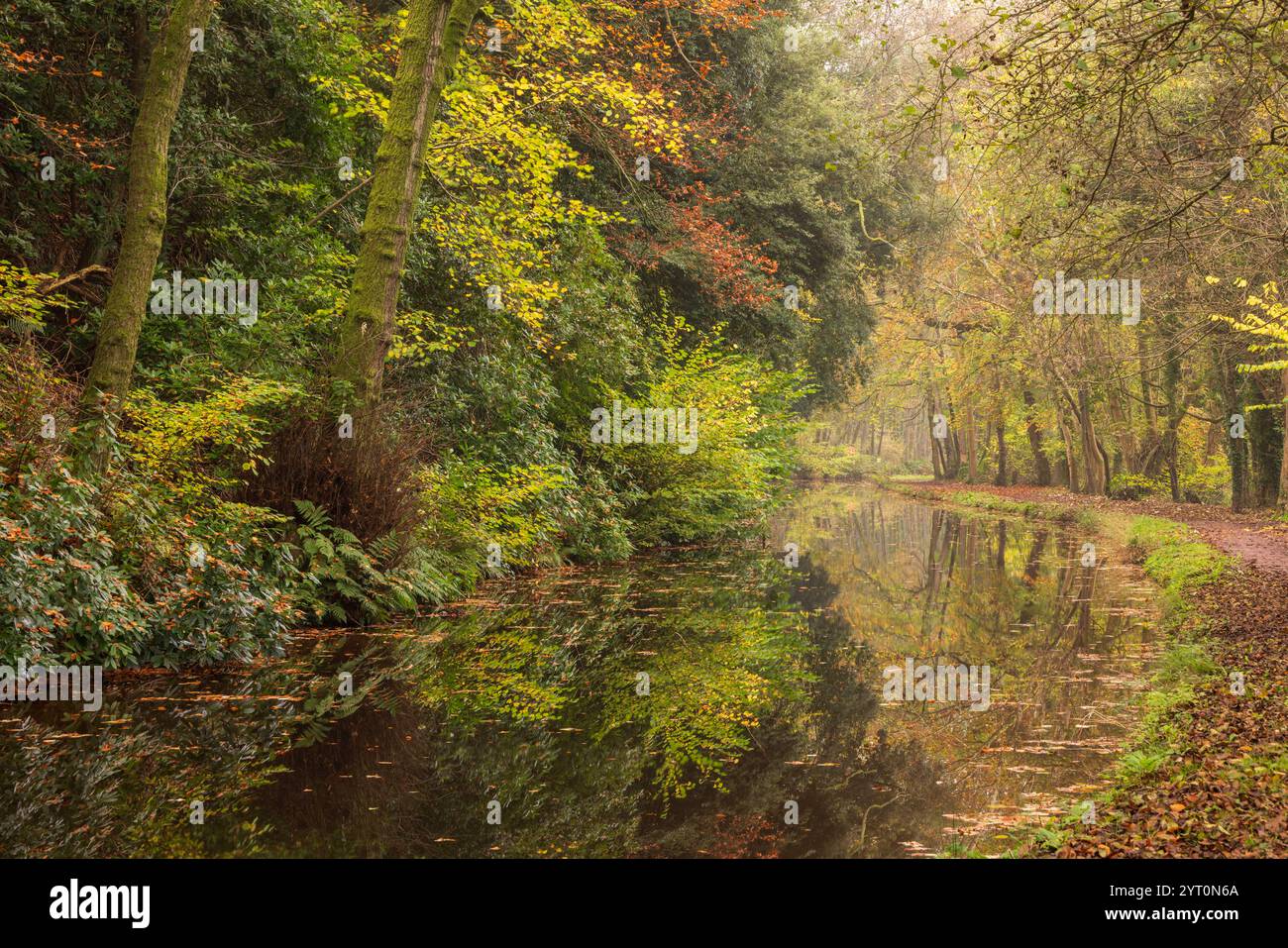 Herbstlaub entlang des Monmouthshire & Brecon Canal bei Llangattock im Brecon Beacons (Bannau Brycheiniog) National Park, Powys, Wales, Großbritannien. Stockfoto