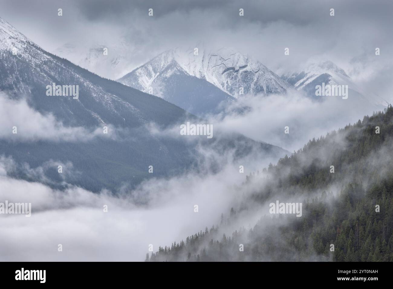 Nebel umhüllt das Bow Valley vom Mount Norquay Lookout in den Kanadischen Rockies im Banff National Park, Alberta, Kanada. Herbst (Oktober) 2024. Stockfoto