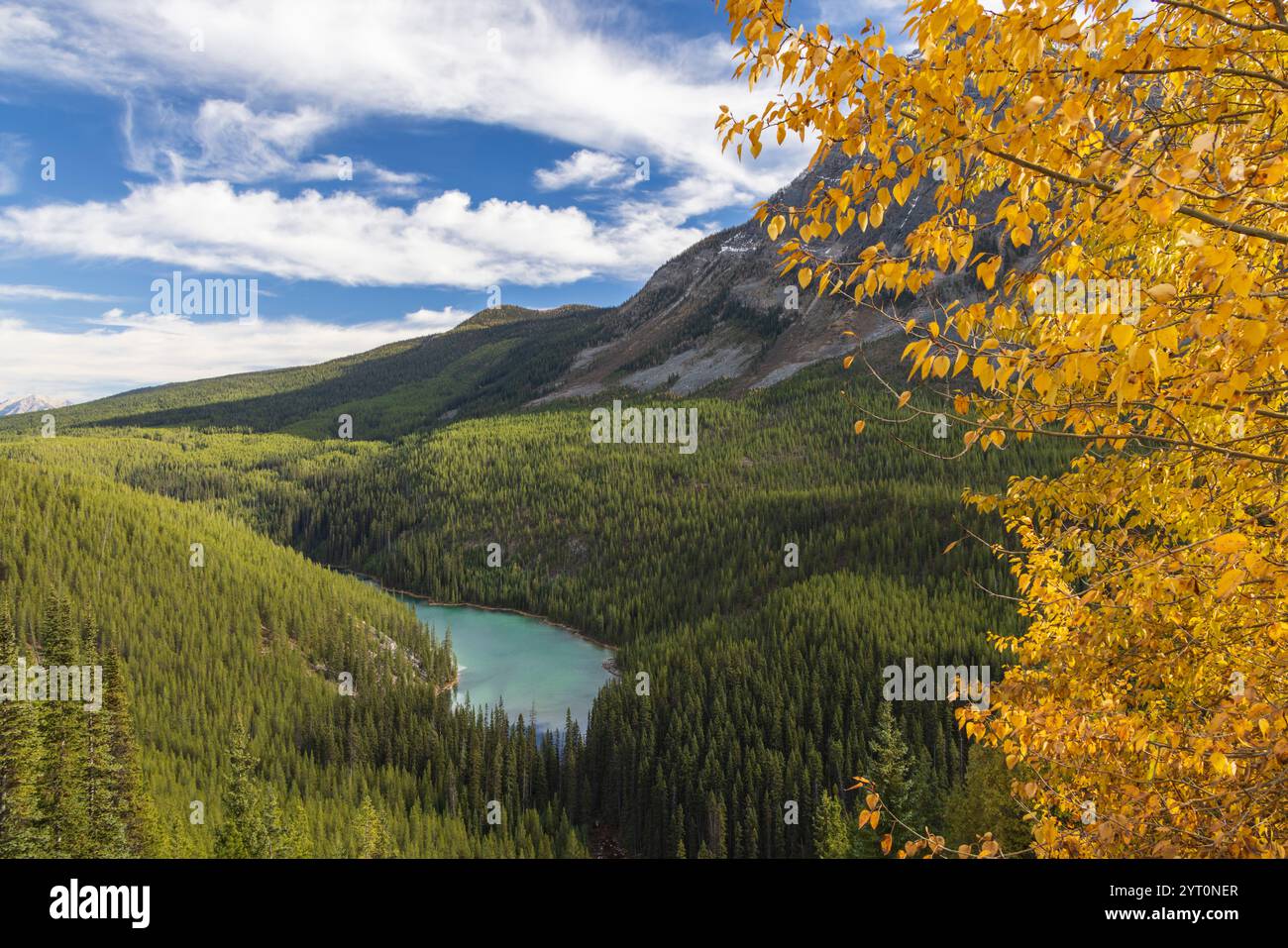 Herbstlaub über dem Vista Lake in den Kanadischen Rockies, Alberta, Kanada. Herbst (Oktober) 2024. Stockfoto