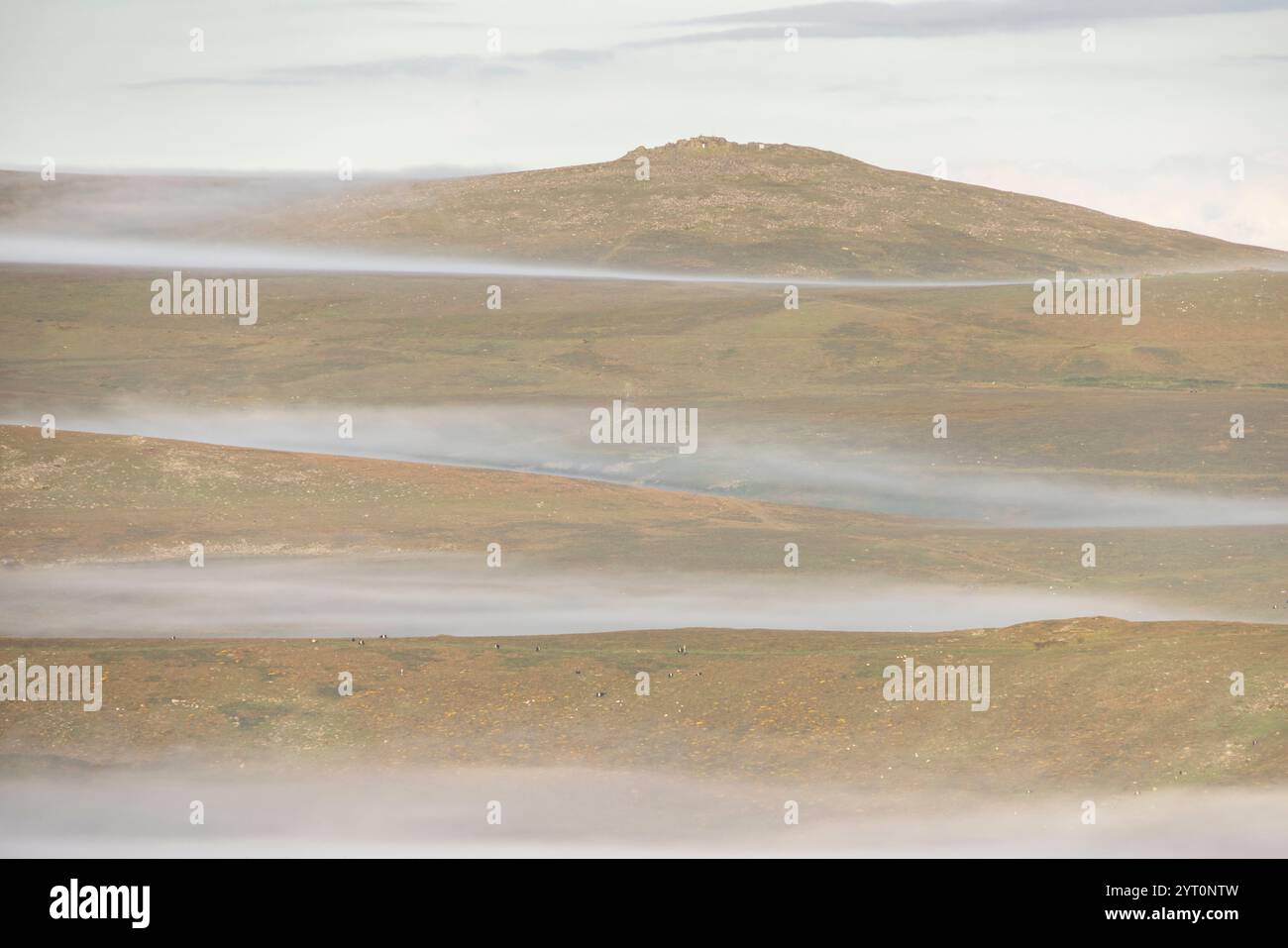 Nebel bedeckt die Moorlandschaft unterhalb des YES Tor im Dartmoor-Nationalpark, Devon, England. Sommer (August) 2024. Stockfoto