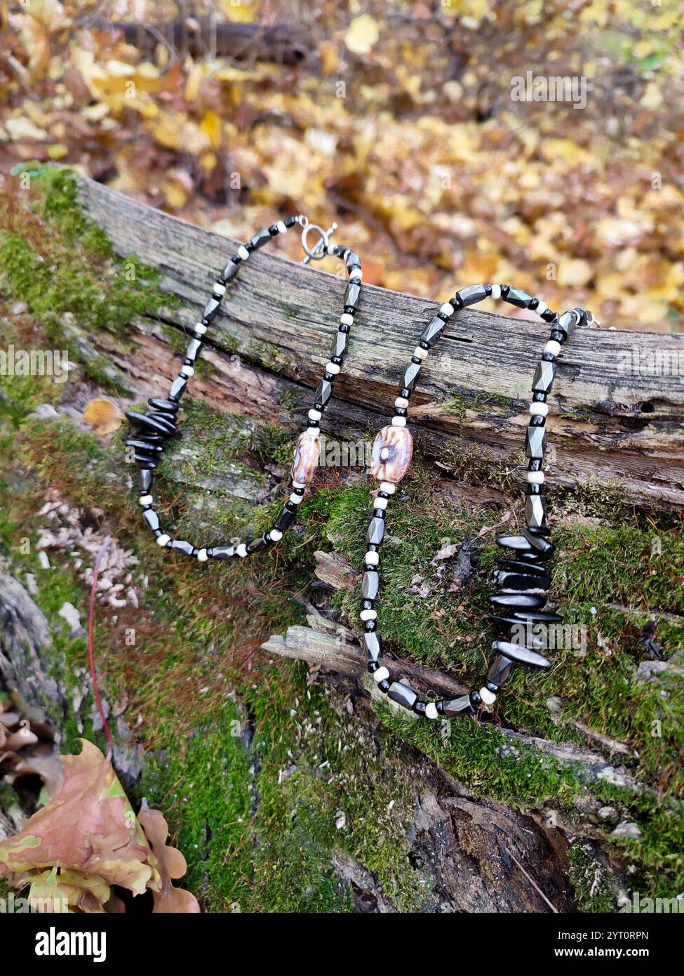 Ein Paar schwarzer Steinperlen-Halsketten auf Holzstämmen, bedeckt mit grünem Moos im Herbstwald. Hämatit, Magnetit Halbedelstein-Choker Stockfoto
