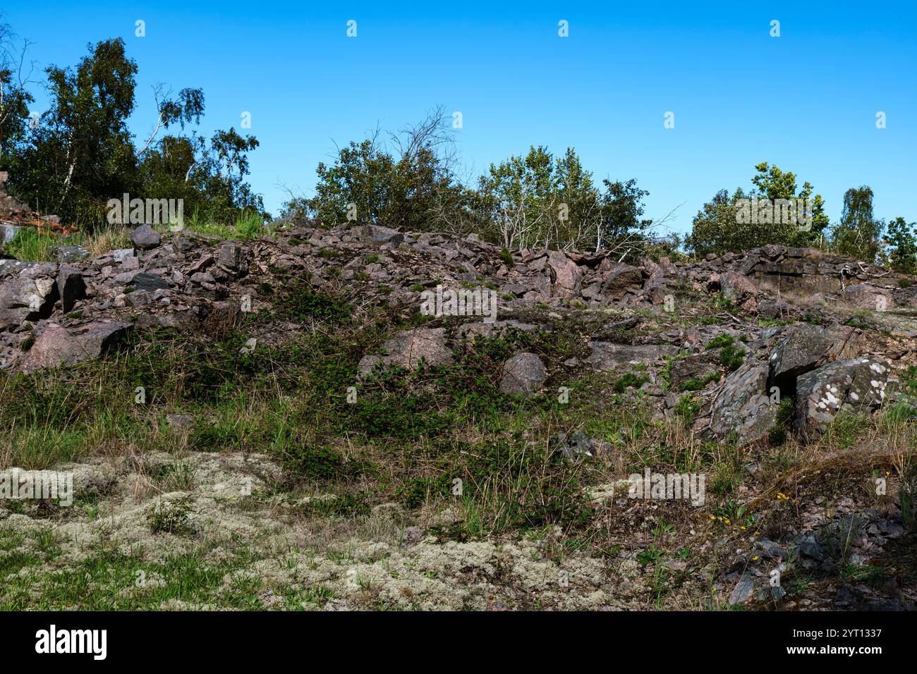 Vegetationslandschaft und Granitfelsen im ehemaligen Steinbruch Tjurkö Stenhuggeri auf der Insel Tjurkö bei Karlskrona, Blekinge län, Schweden. Stockfoto