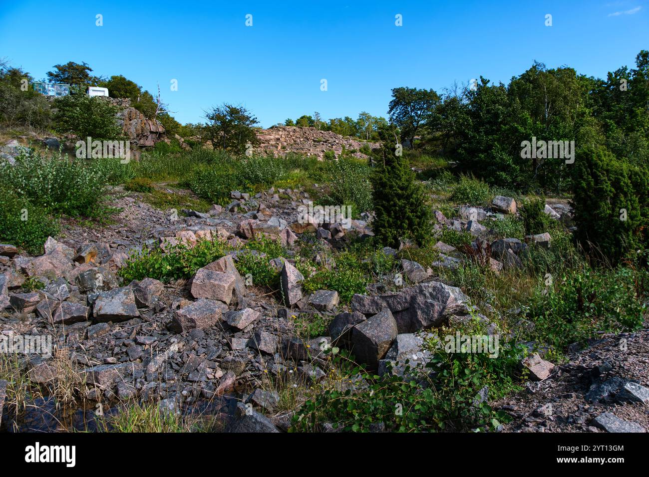 Vegetationslandschaft und Granitfelsen im ehemaligen Steinbruch Tjurkö Stenhuggeri auf der Insel Tjurkö bei Karlskrona, Blekinge län, Schweden. Stockfoto