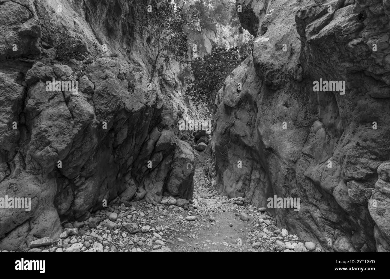 Wanderweg in der kritsa-Schlucht Stockfoto