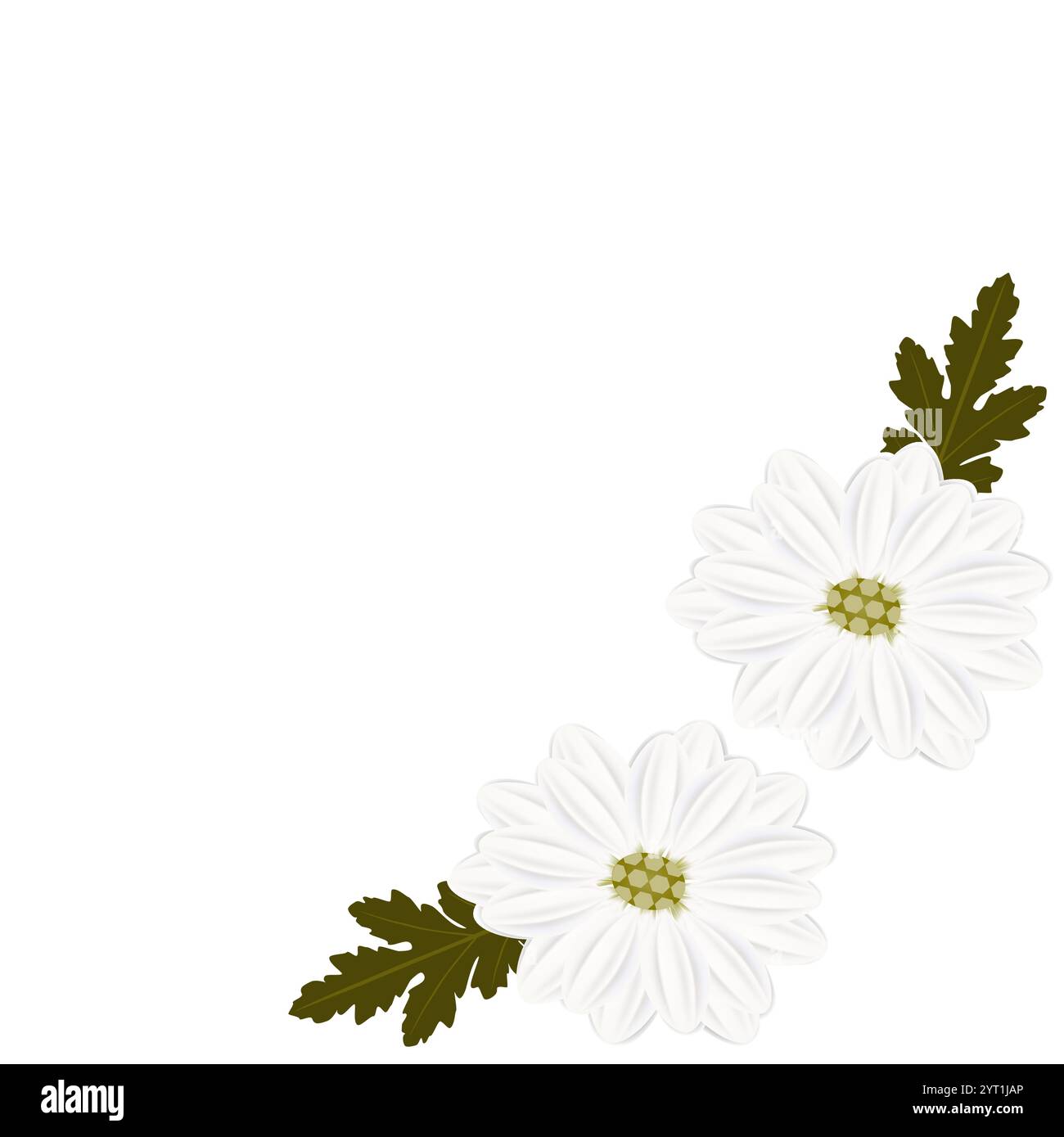 Floraler Hintergrund mit Chamomiles, Designelement. Stock Vektor