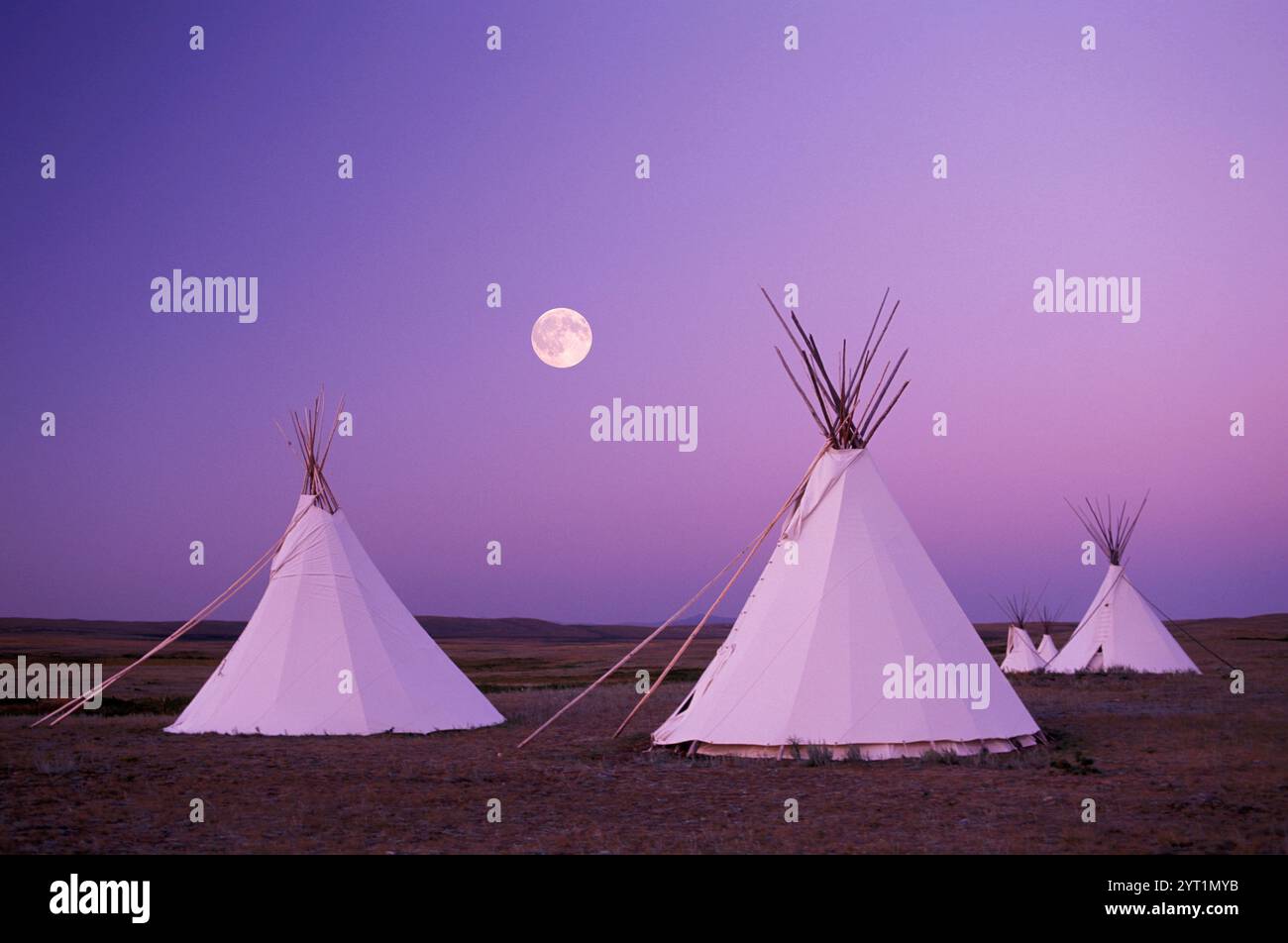 TIPI Camp of Darrell Norman, Blackfeet, Browning, Montana, USA Stockfoto