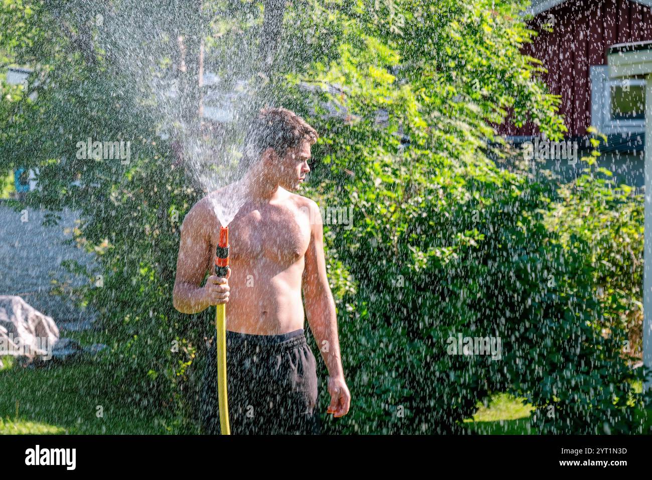 Ein Mann ohne Hemd, der seinen Garten an einem heißen Sommertag mit einem Schlauch tränkt, erfrischt Pflanzen und genießt den kühlen Wasserstrahl unter der hellen Sonne Stockfoto