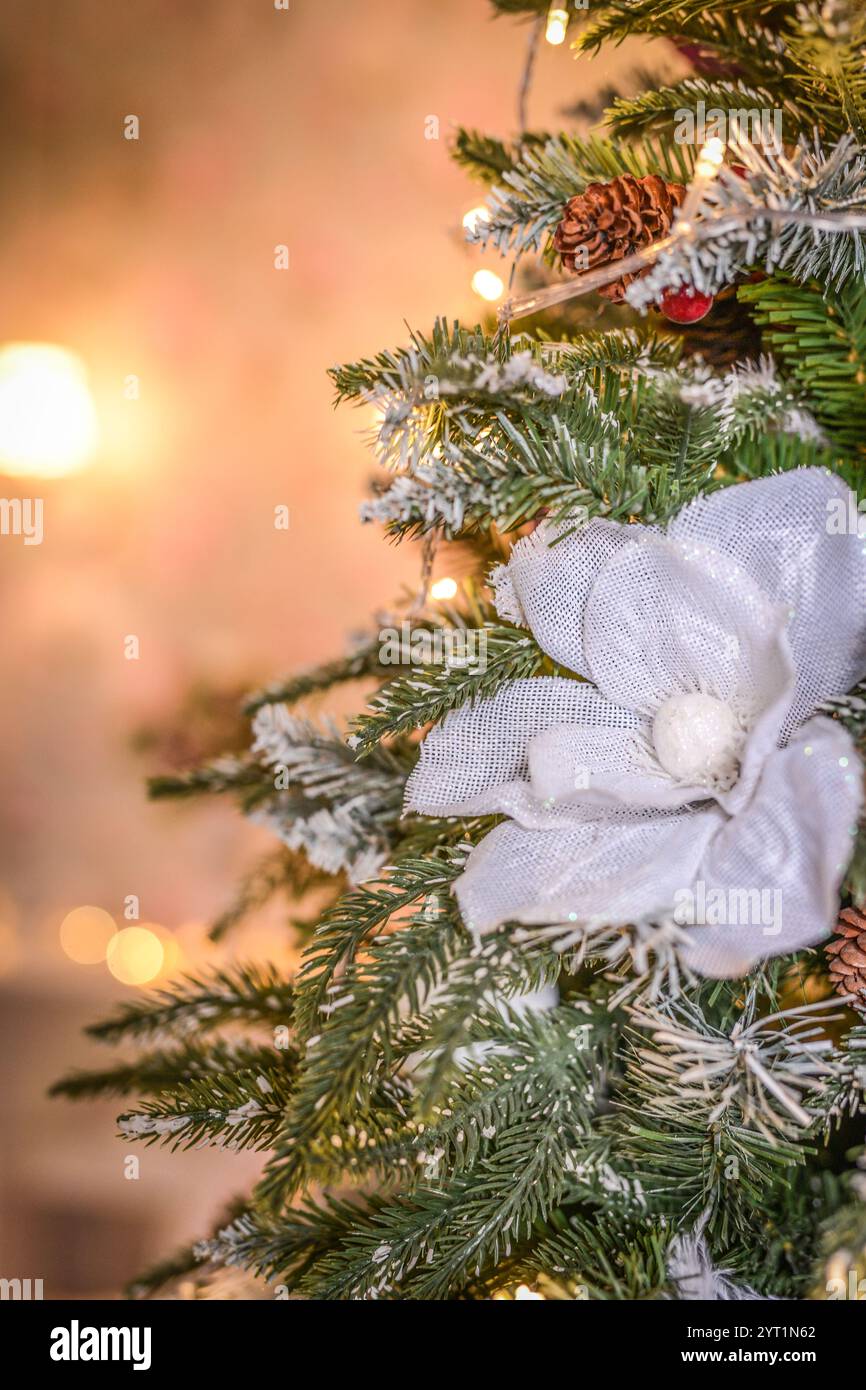 Das Bild zeigt eine Nahaufnahme des Weihnachtsbaums Stockfoto