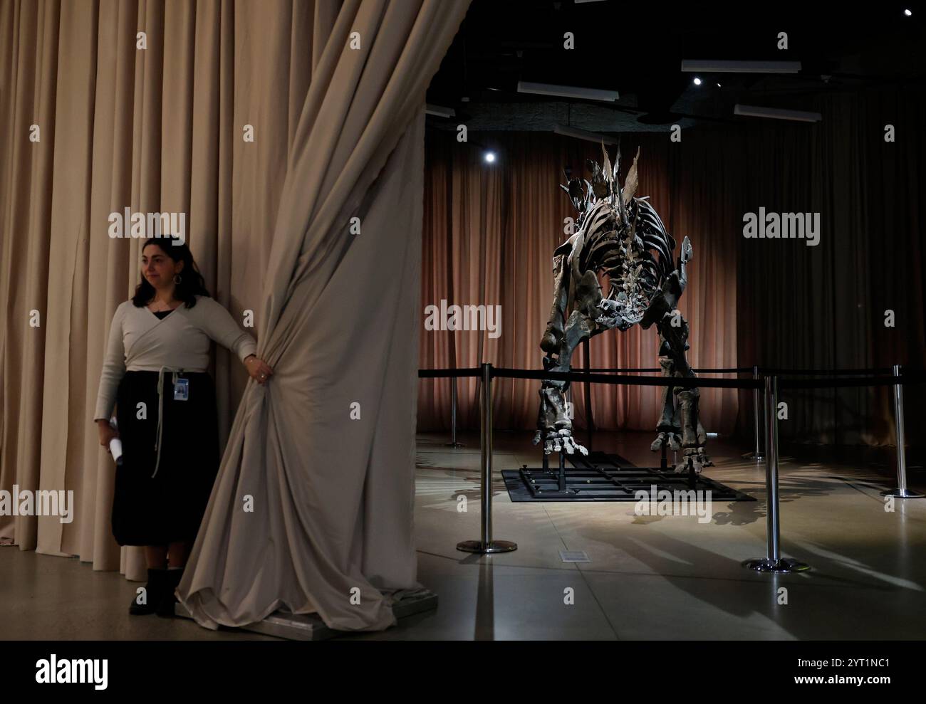 New York, Usa. Dezember 2024. Ein Stegosaurus-Fossil namens „Apex“ wird am Donnerstag, den 5. Dezember 2024, im American Museum of Natural History in New York City in einer Pressevorschau enthüllt. Das Fossil ist ein Darlehen des Milliardärs Kenneth C. Griffin, der es 2024 bei Sotheby's für 44,6 Millionen US-Dollar kaufte und damit das teuerste Dinosaurierfossil, das je auf einer Auktion verkauft wurde, war. Foto: John Angelillo/UPI Credit: UPI/Alamy Live News Stockfoto