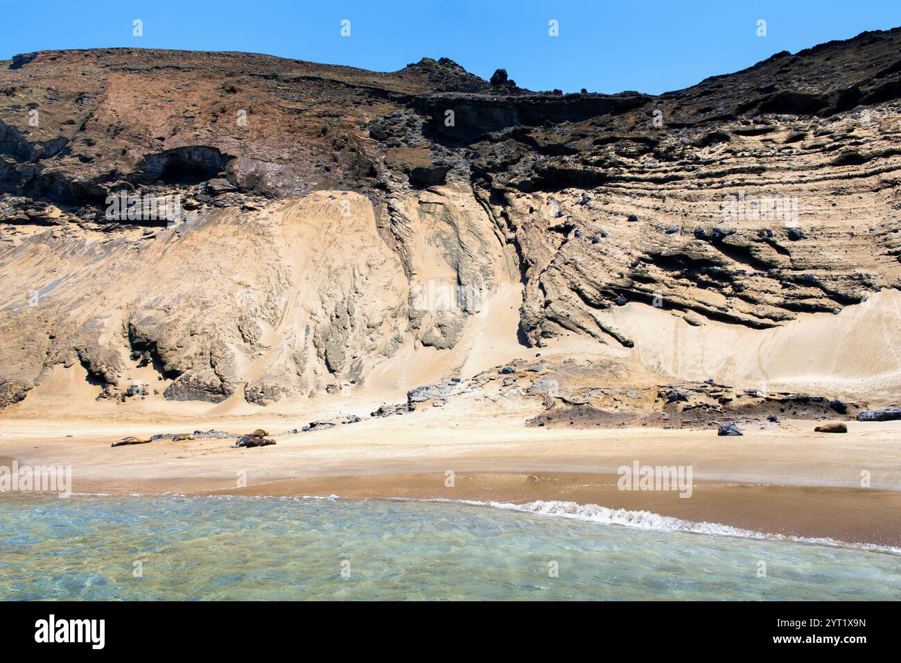 Seelöwen auf der Insel Bartolomé auf der Galápagos Stockfoto