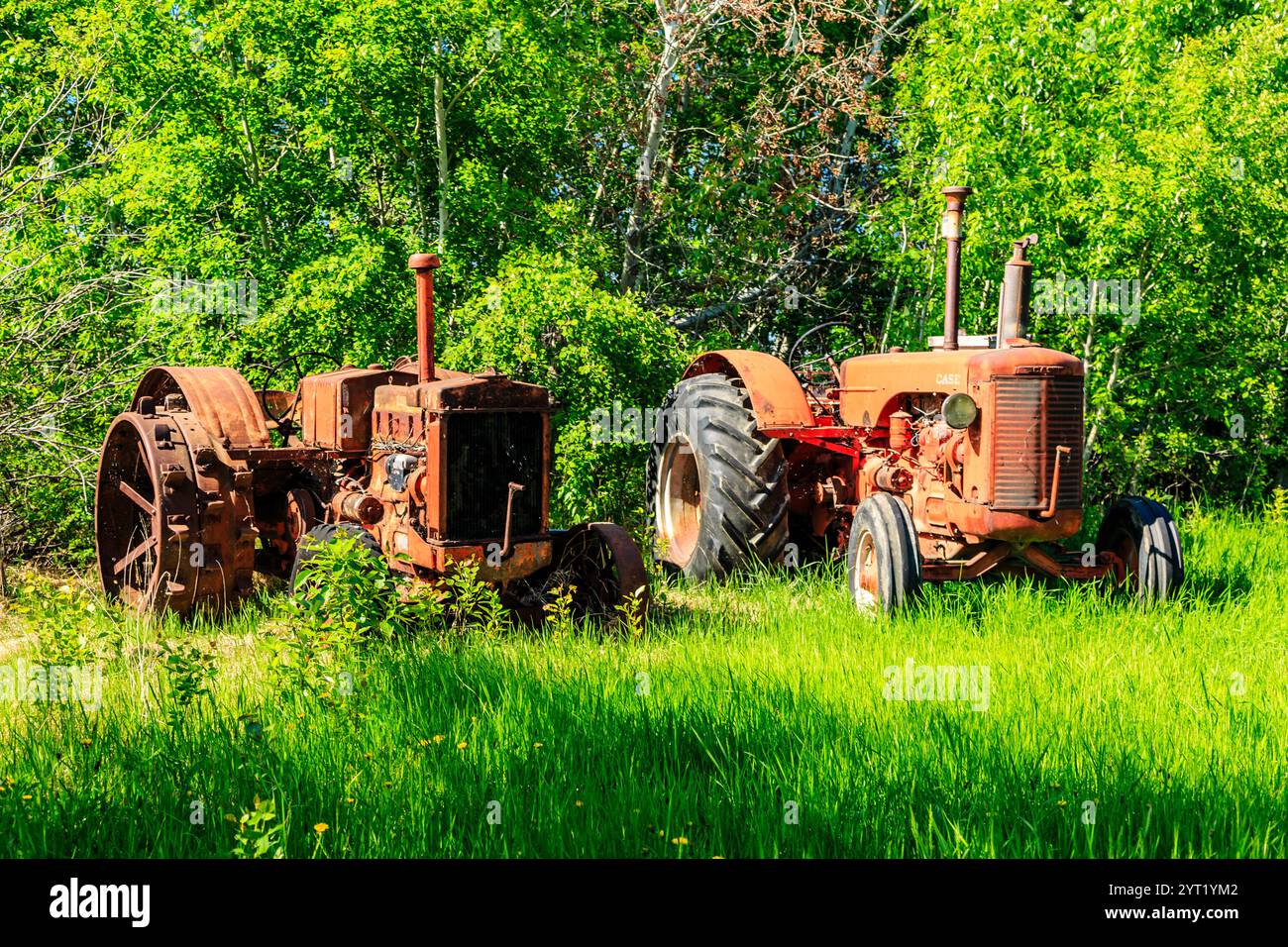 Zwei alte Traktoren sitzen auf einem grasbewachsenen Feld. Die Traktoren sind rostig und scheinen verlassen zu werden Stockfoto