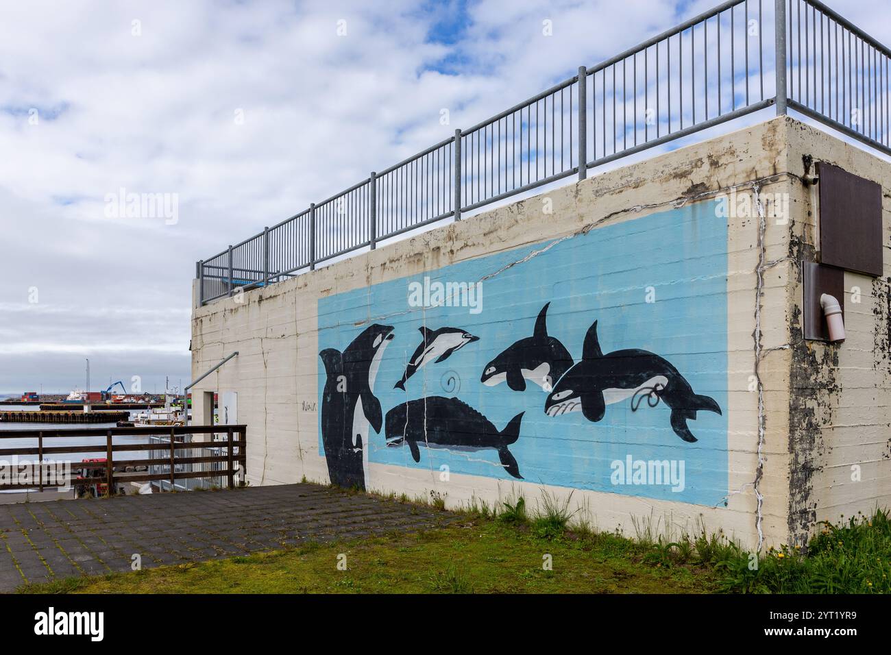 Husavik, Island, 22.05.22. Buntes Gemälde, Wandbild von Orcas (Killerwalen) an einer Wand eines Gebäudes im Hafen von Husavik. Stockfoto
