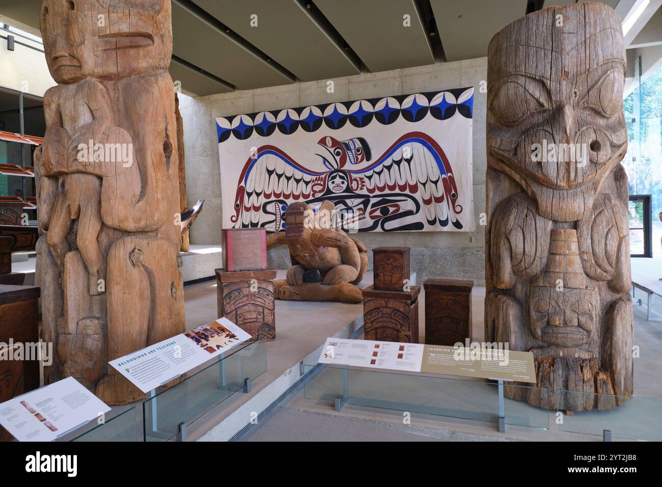 Verschiedene First Nations, holzgeschnitzte Figuren, Ausstellungsstücke im renovierten Hauptatriumbereich. Im Museum of Anthropology der UBC in Vancouver, CA Stockfoto