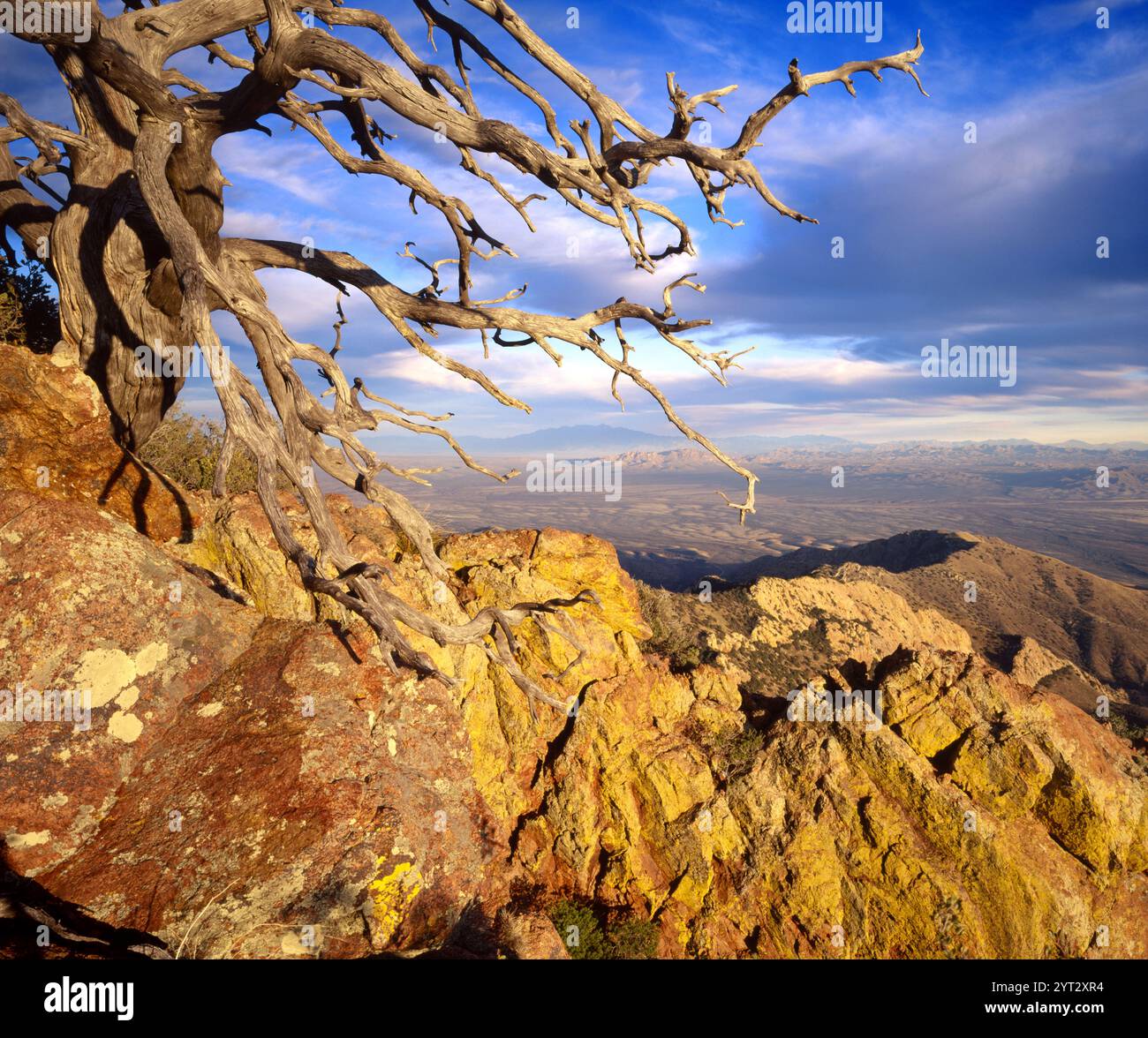 Bild von der zerklüfteten südöstlichen Schulter des Baboquivari Peak im südlichen Arizona. USA Stockfoto