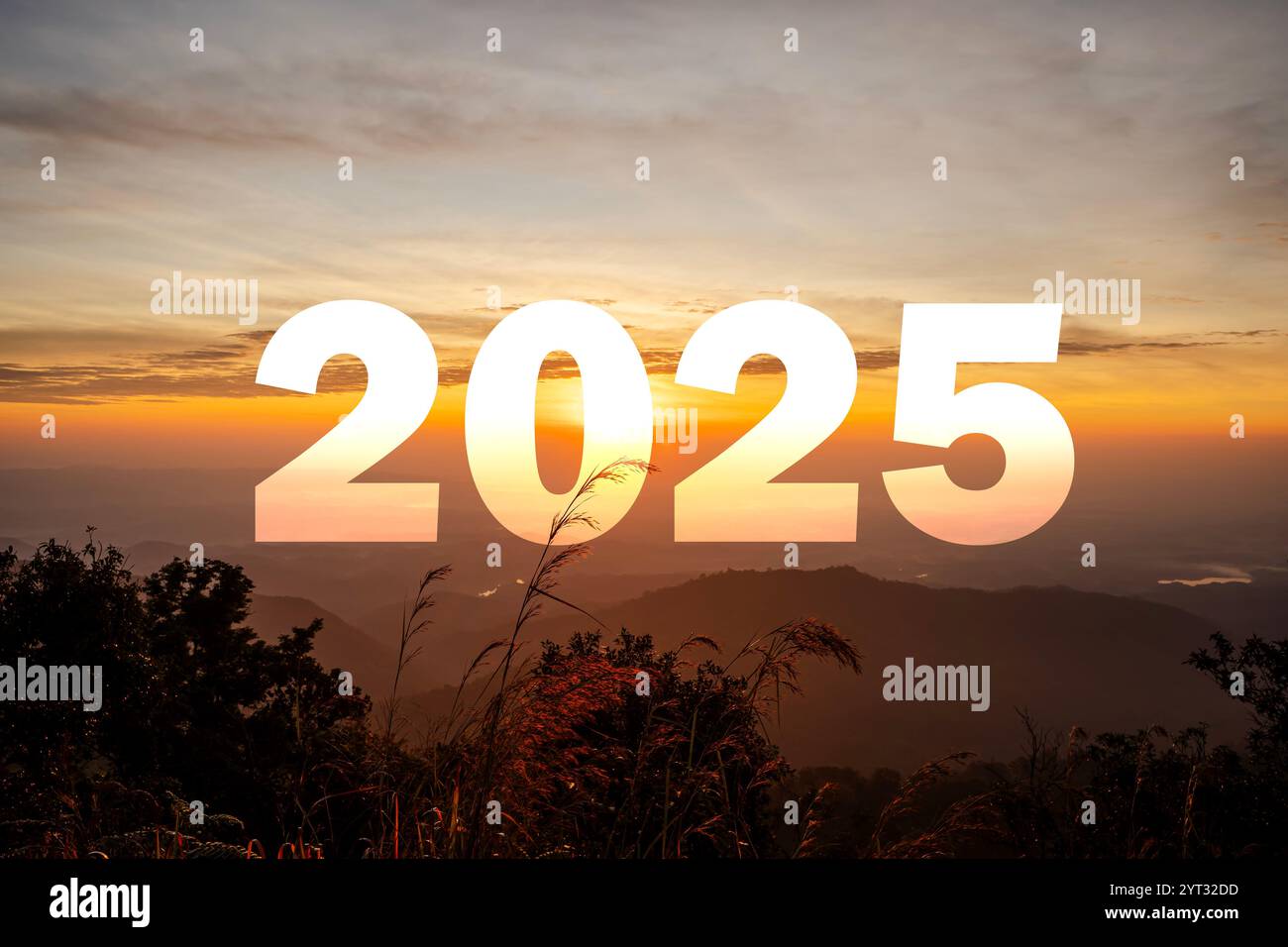 Eine leuchtende Zahl 2025 steht auf einem grasbewachsenen Gebiet, während die Sonne untergeht und warmes Licht vor einem Hintergrund von Bäumen wirft. Hell beleuchtete Zahlen 2025 gegen Stockfoto