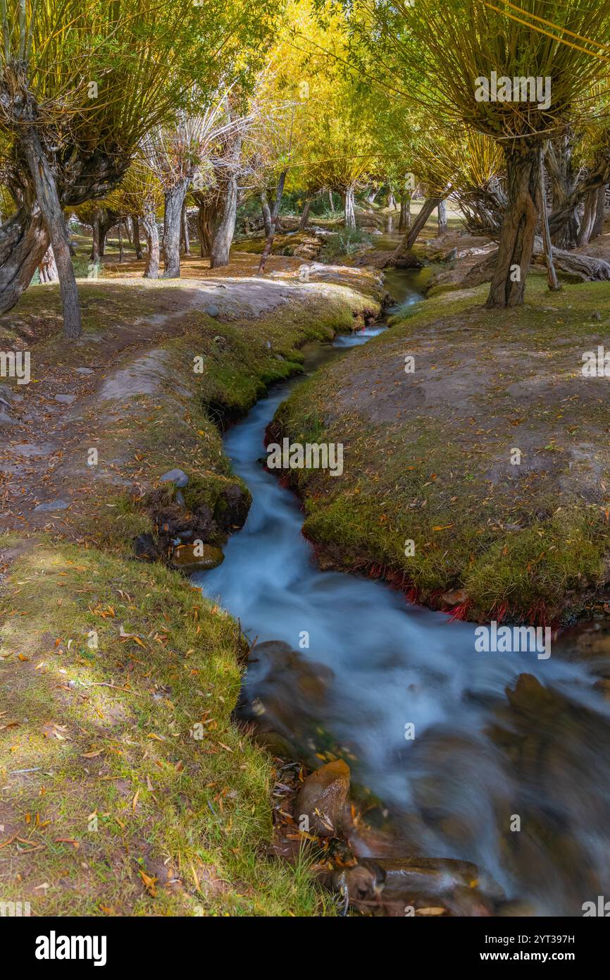 Lange Exposition von blauem Wasser, das in einem Bach durch den Wald fließt, während der Herbstsaison. Stockfoto