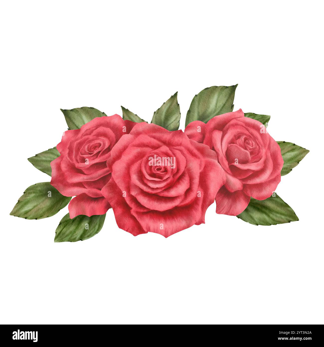 Rote Rosen mit Blättern in halbrunder Anordnung in realistischem Stil in Aquarelltechnik als Symbol für Liebe, Leidenschaft, Begehren. Handgezeichnet Stockfoto