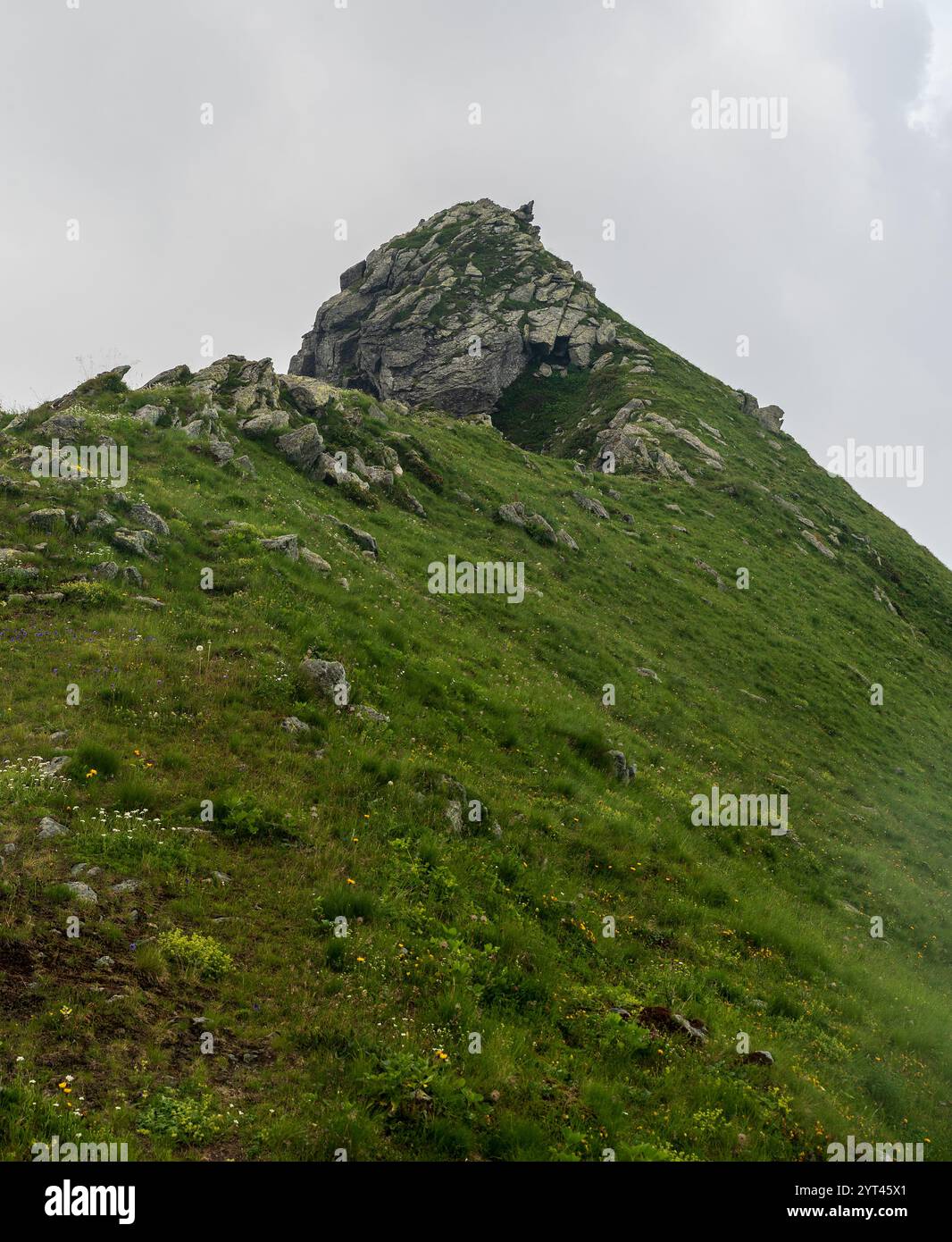 Bergkamm mit steilen Hängen bedeckt mit Gras und felsigem Hügel in der Nähe von Colle di Costa Fiorita im Alpi Graie in Italien Stockfoto