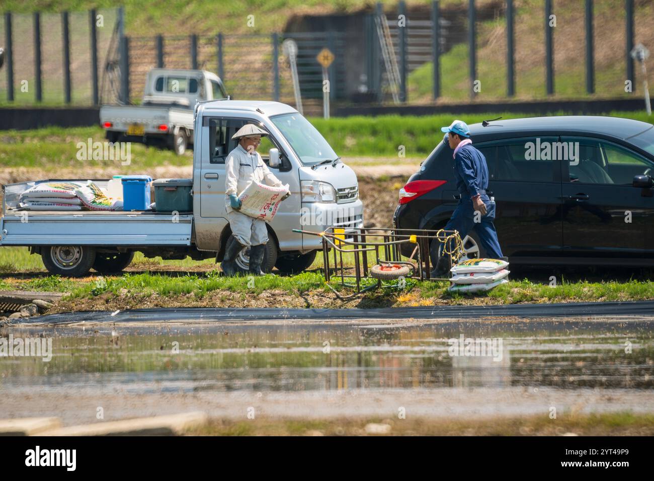 Landwirt im Reisanbaubetrieb Stockfoto