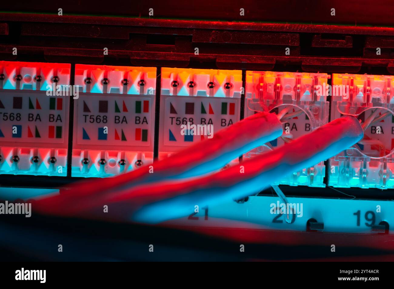 Netzwerk-Patch-Panel von hinten mit zwei gestanzten Kabeln Stockfoto