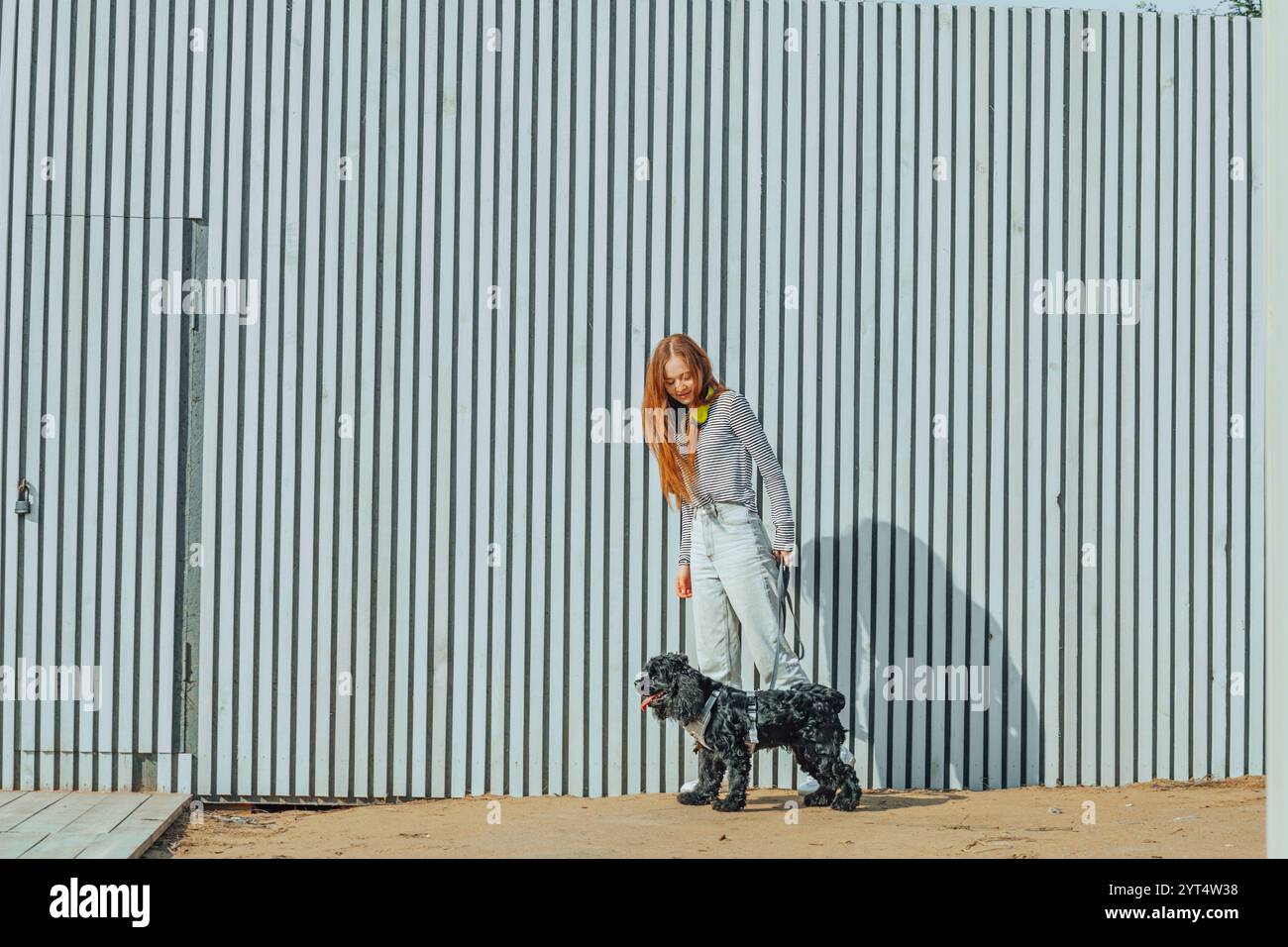 Haustierfreundlicher urbaner Lebensstil, Verbindung zwischen Mensch und Hund Stockfoto