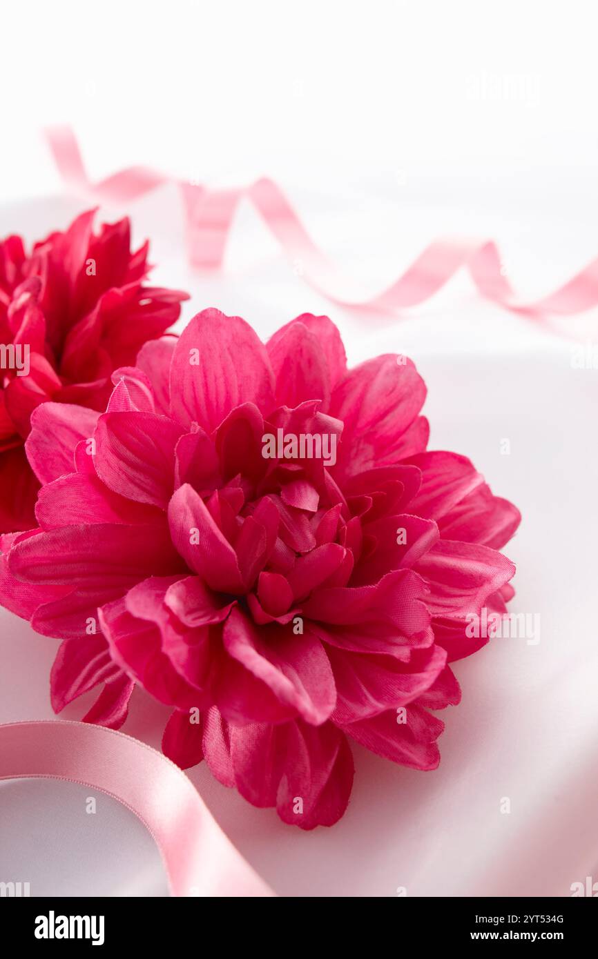 Rote Blume Geschenk-Bild Stockfoto