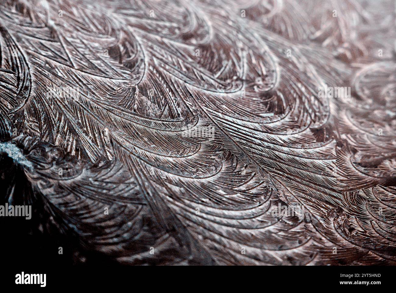 Detail des Frosts auf der Windschutzscheibe eines Autos. Frost, Eiskristalle *** Lokale Bildunterschrift *** Stockfoto