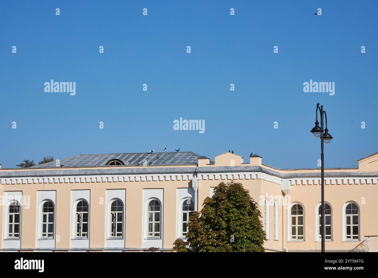 Aufbau des Ministeriums für Kultur, Information, Sport und Jugendpolitik der Kirgisischen Republik. Klarer blauer Himmel, Vögel auf dem Dach, schwarze Lampenpfosten. Auf Einem Stockfoto