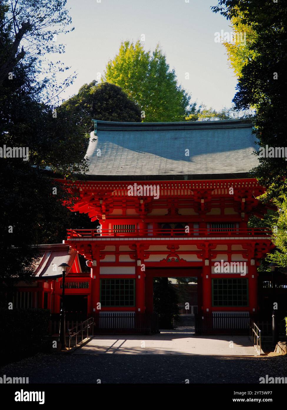 Herbststrahler: Erkunden Sie Tokios spirituelles Erbe Stockfoto