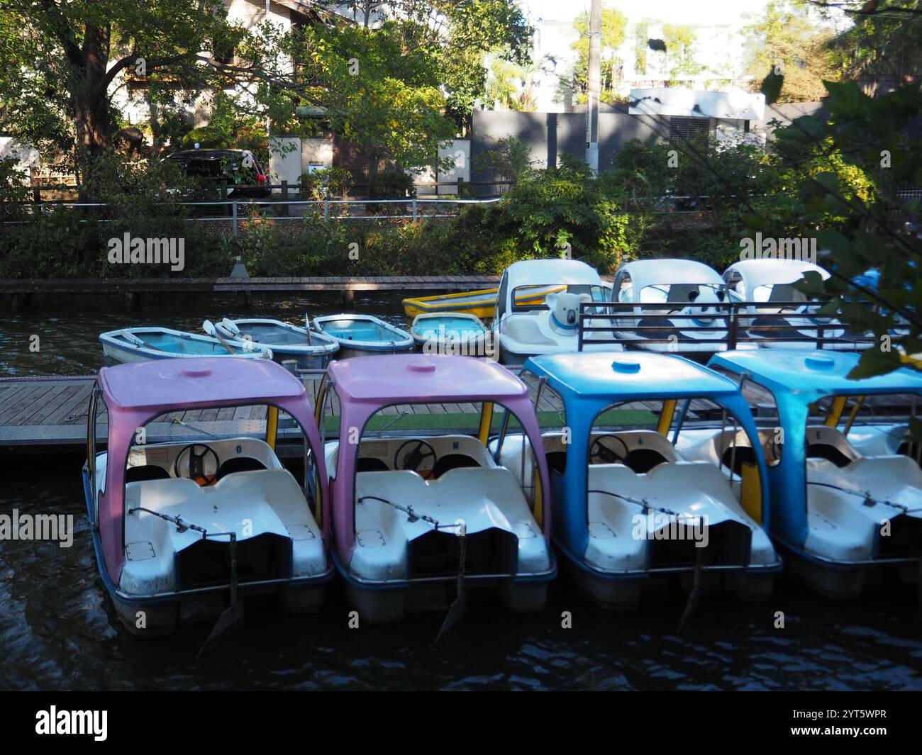 Floating Colors: Tretboote, Eine verspielte Szene in einem Tokyo Park Stockfoto