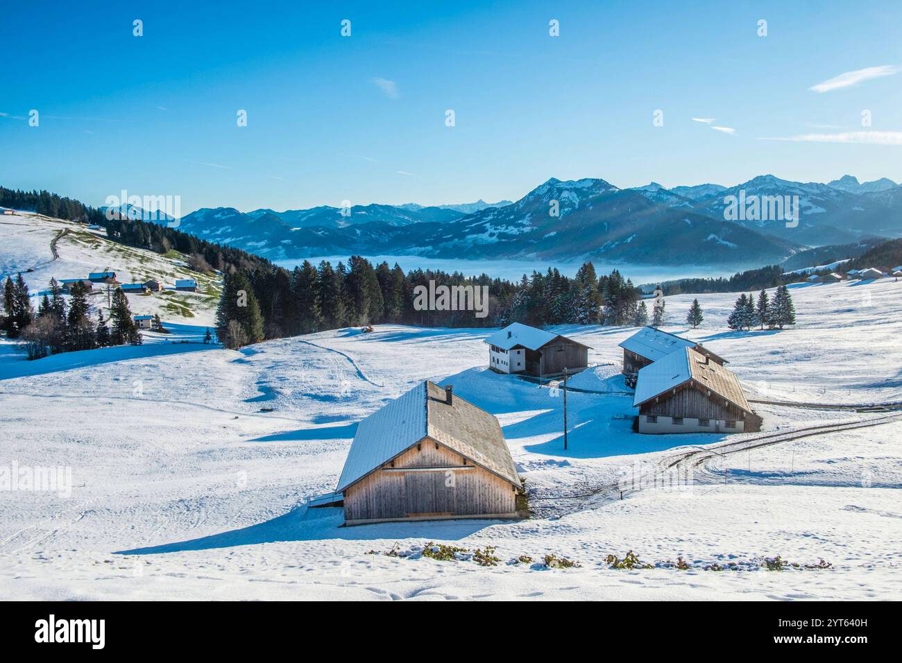 Idyllisch liegt Frühnebel in den Tälern des Bregenzerwald im Winter mit Schnee bei Sonnenaufgang und blauem Himmel. Bödele, Vorarlberg, Österreich Winter in den Österreichischen Alpen *** idyllischer Frühnebel in den Tälern des Bregenzerwaldes im Winter mit Schnee bei Sonnenaufgang und blauem Himmel Bödele, Vorarlberg, Österreich Winter in den Österreichischen Alpen Stockfoto